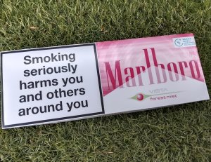 20260619172437_3c0c6ef2.jpg - บุหรี่Marlboro Vista forest mist  | https://บุหรี่ซิก้าร์ต่างประเทศ.com