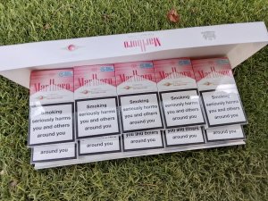 20260619172440_22db5499.jpg - บุหรี่Marlboro Vista forest mist  | https://บุหรี่ซิก้าร์ต่างประเทศ.com