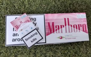 20260619173638_acecb1e6.jpg - บุหรี่Marlboro Vista forest mist  | https://บุหรี่ซิก้าร์ต่างประเทศ.com
